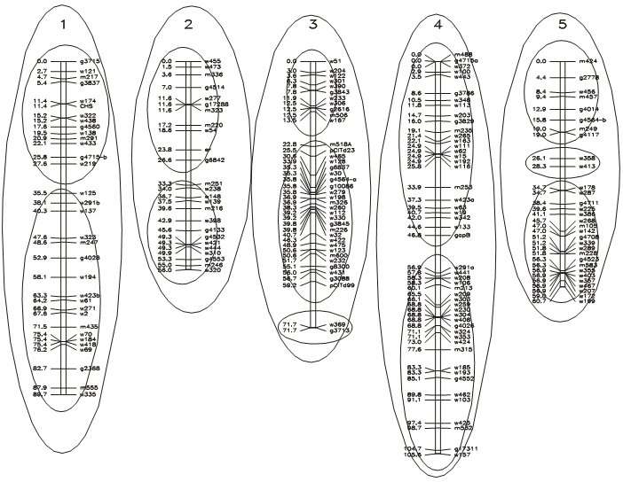 LOD linkage groups.jpg